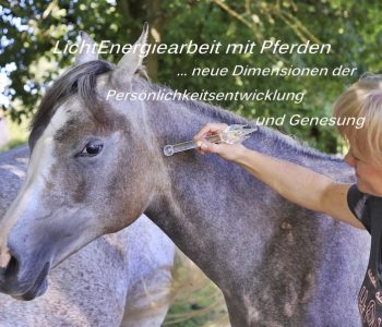 Pferde-LichtEnergiearbeit-mit-LichtKristall-Werkzeugen